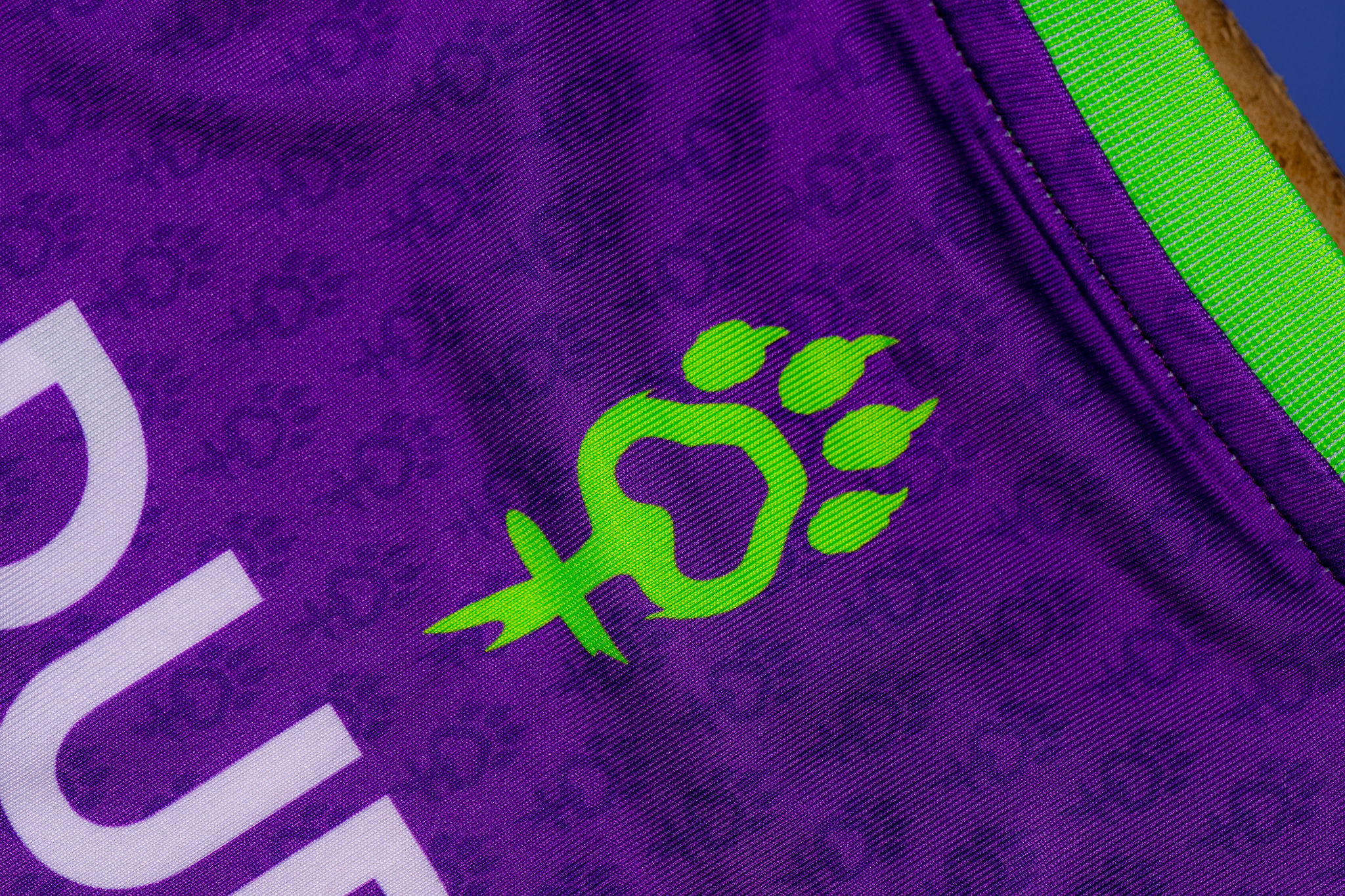 The Löwen roar for women's rights